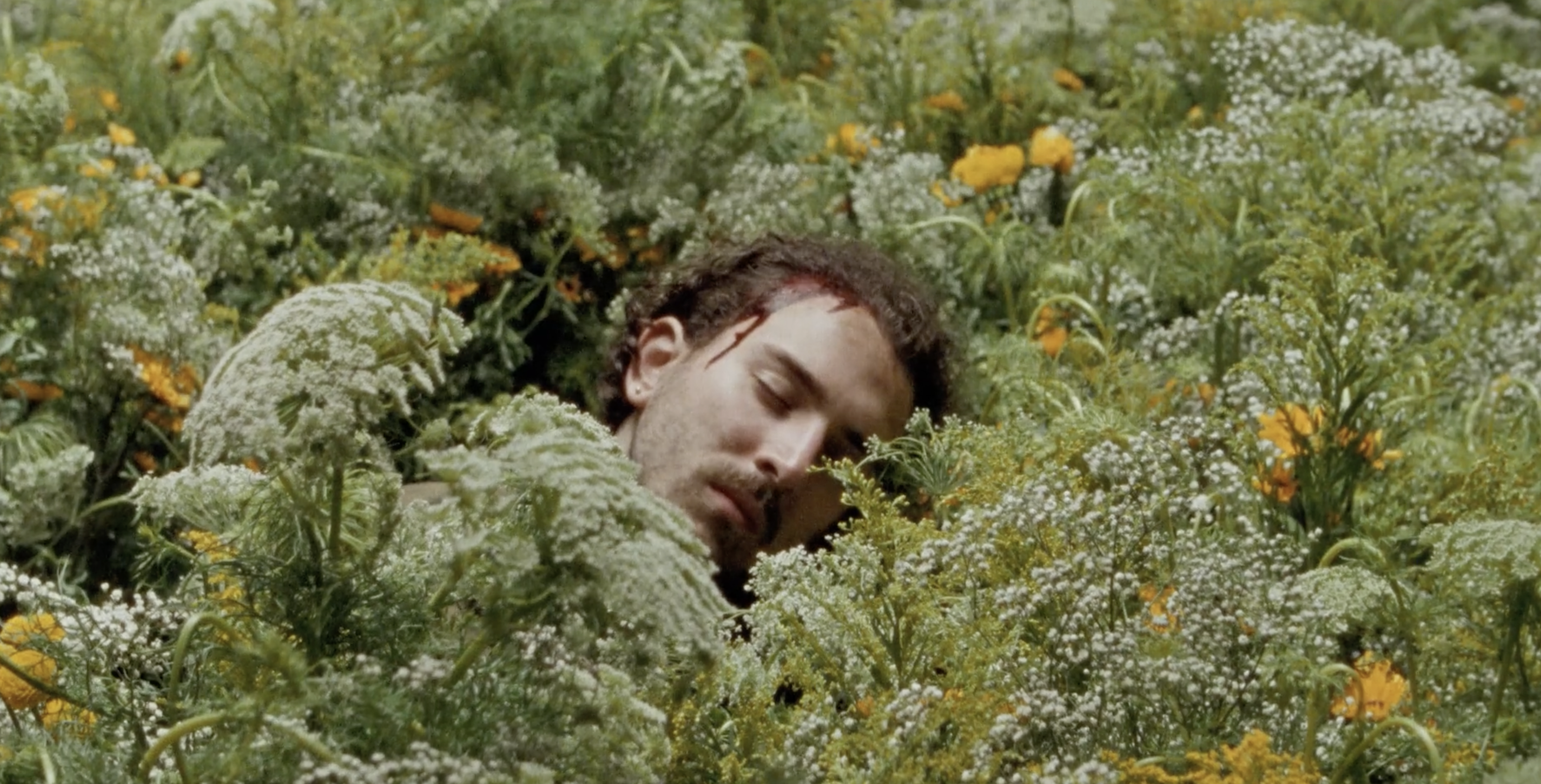 Screenshot 2023-01-17 at 11.51.16 AM.png